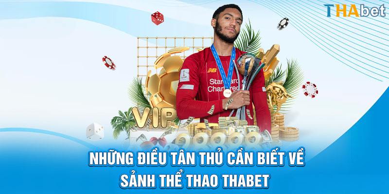 Khái quát một số thông tin cơ bản về sảnh thể thao