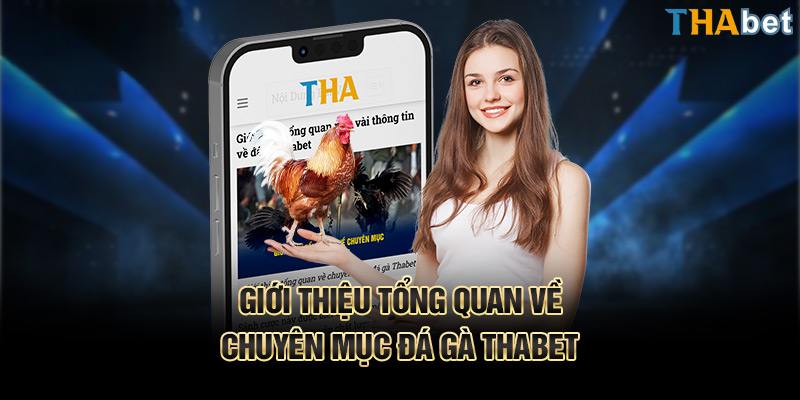 Những trận đấu trên nền tảng Thabet chưa bao giờ khiến người chơi thất vọng