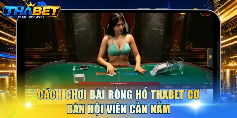 Cách Chơi Bài Rồng Hổ THABET Và Mẹo Cược Chắc Thắng 99% 3 Cách chơi bài Rồng Hổ THABET cơ bản hội viên cần nắm